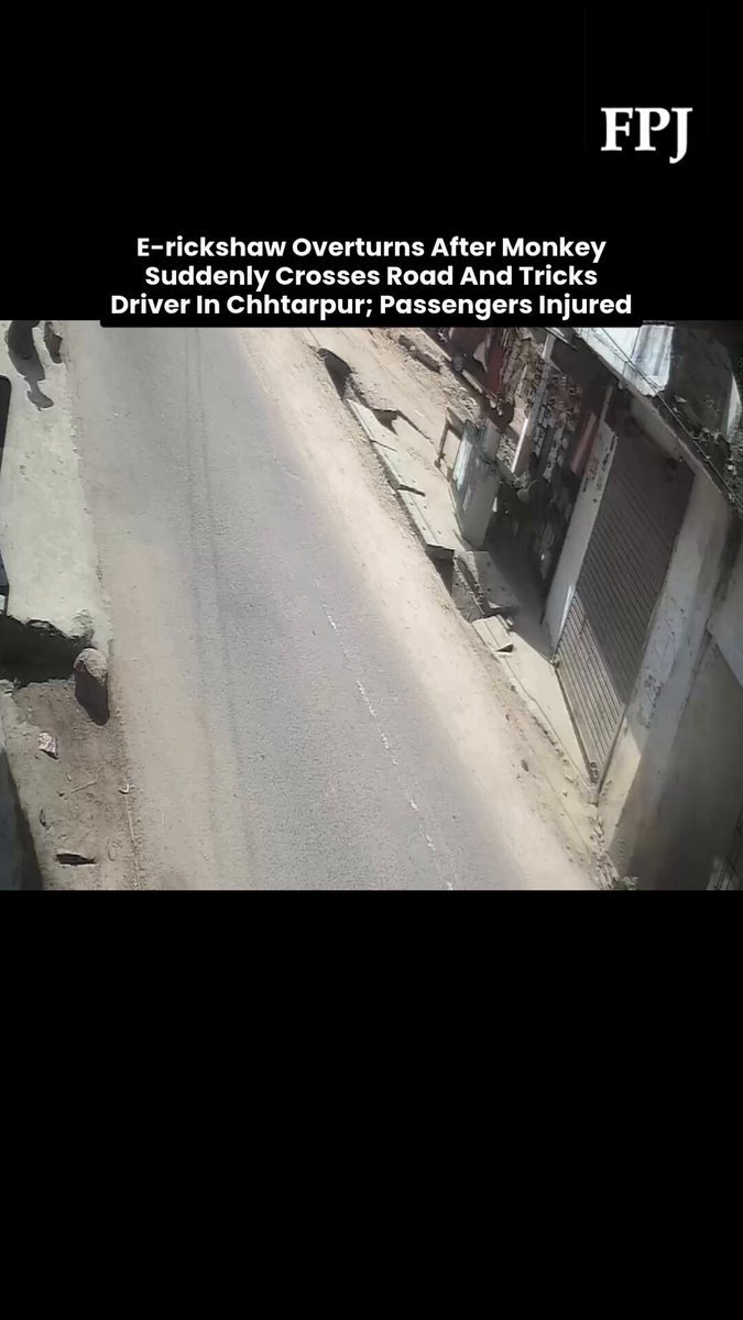छतरपुर में बंदर के सामने आने से पलटा ई-रिक्शा