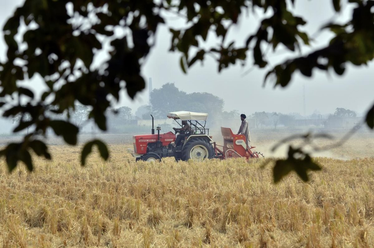 एल नीनो के बीच रबी सीजन से पहले पंजाब में गेहूं की बुवाई के लिए ट्रैक्टर से खेत तैयार करता किसान